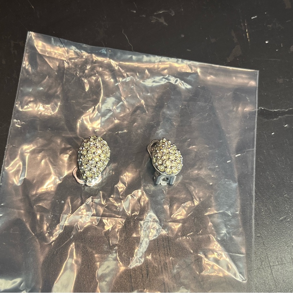Dior Silver and Gold Earrings